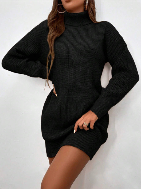 Evoque™ | Viral Turtle Neck Sweater Dress